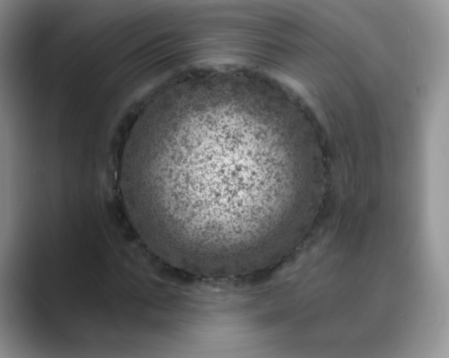 X0000089700871200707051642