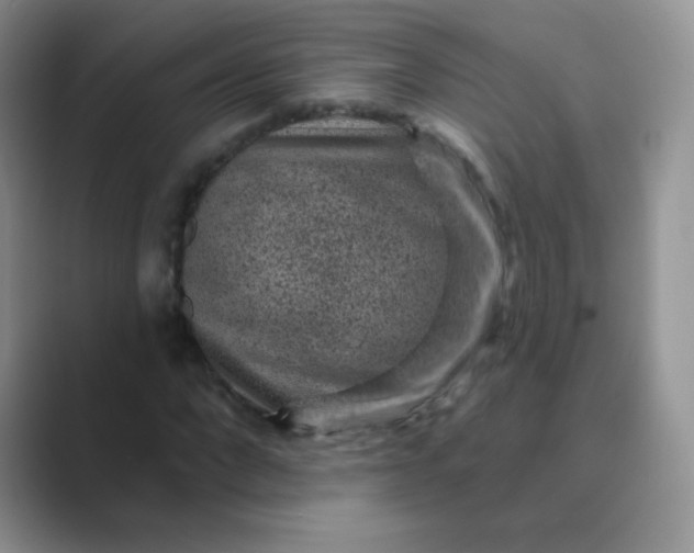 X0000089700872200707051642