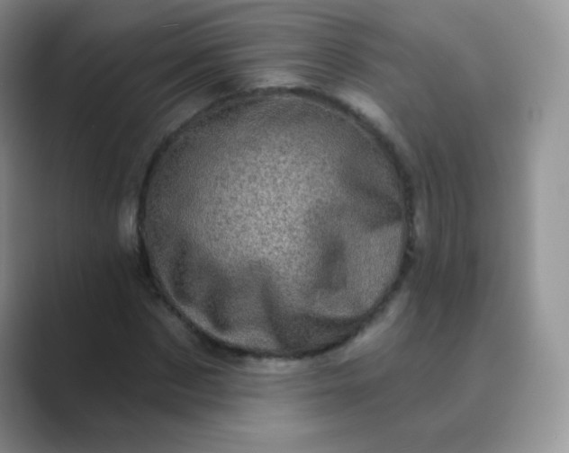 X0000089700873200707051642