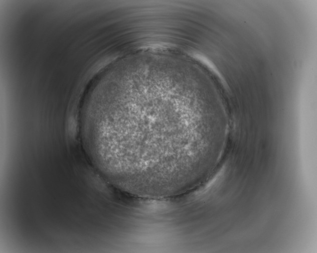 X0000089700874200707051641