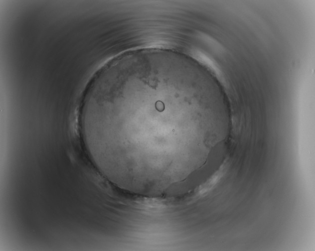 X0000089700875200707051641