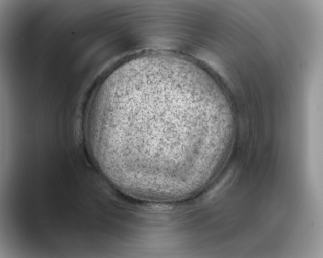 X0000089700878200707051641