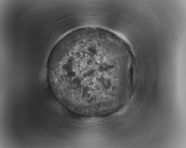 X0000089700879200707051641