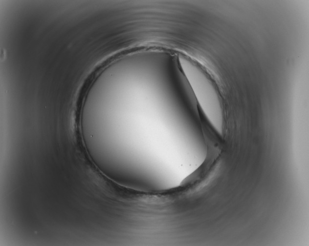 X0000089700880200707051641