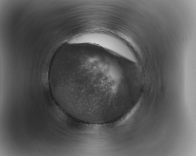 X0000089700881200707051641