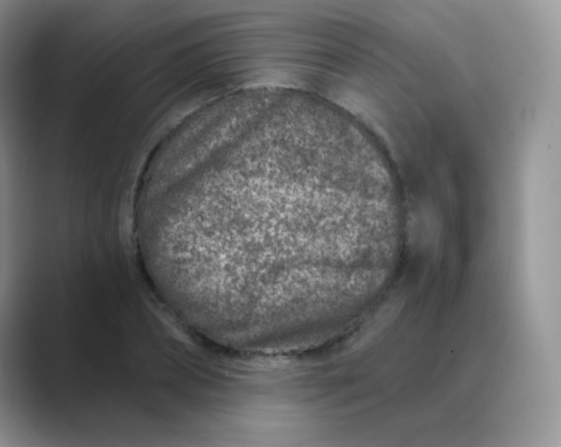 X0000089700882200707051641