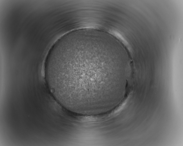 X0000089700883200707051641