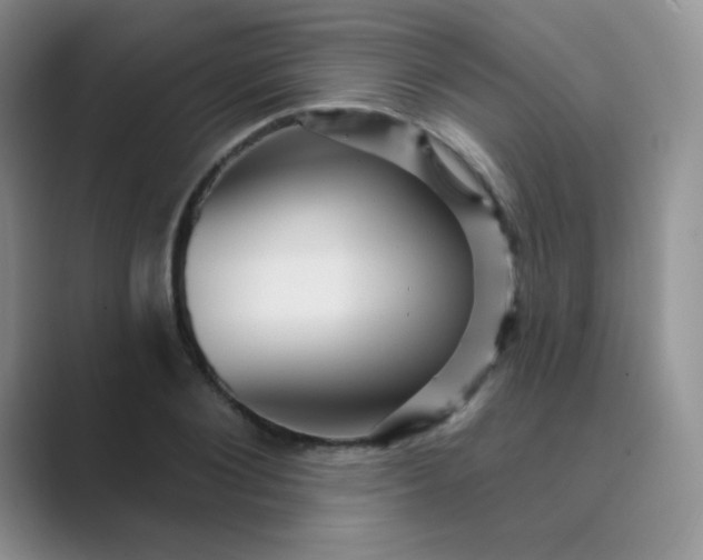 X0000089700884200707051641