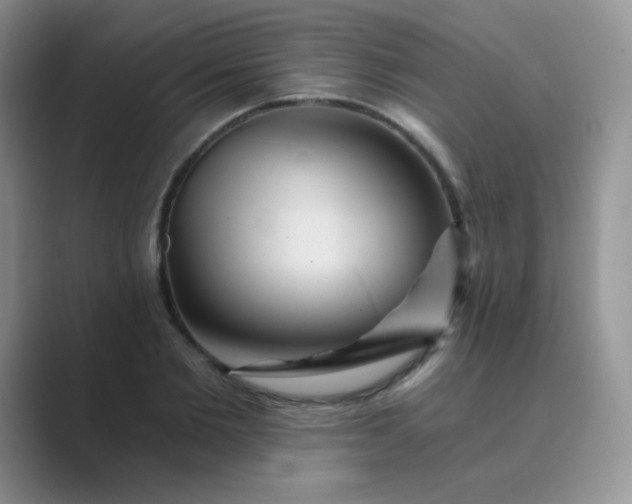 X0000089700885200707051641