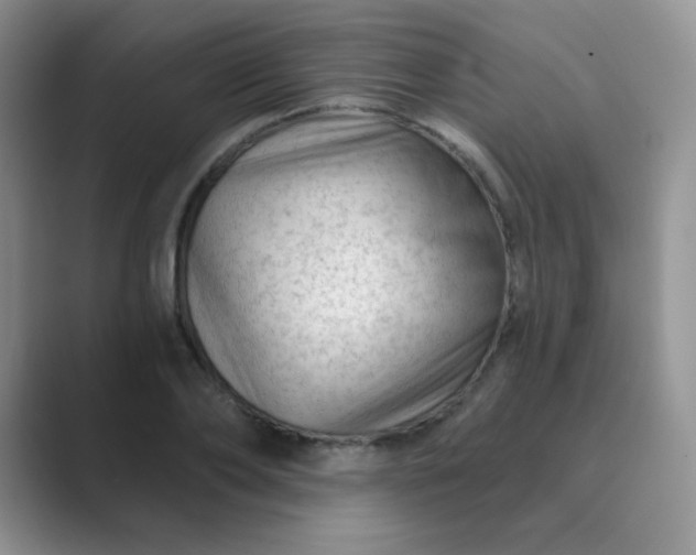 X0000089700886200707051641