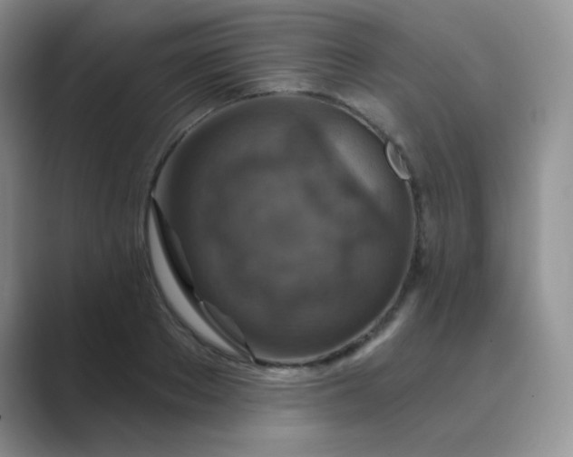 X0000089700889200707051641