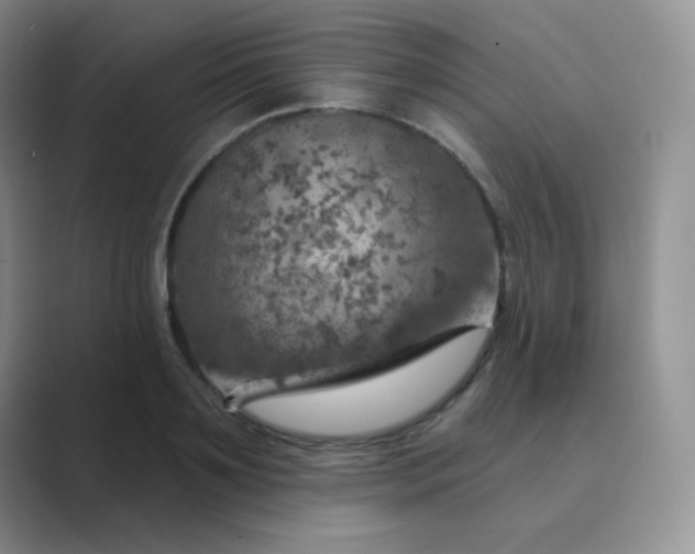 X0000089700891200707051641