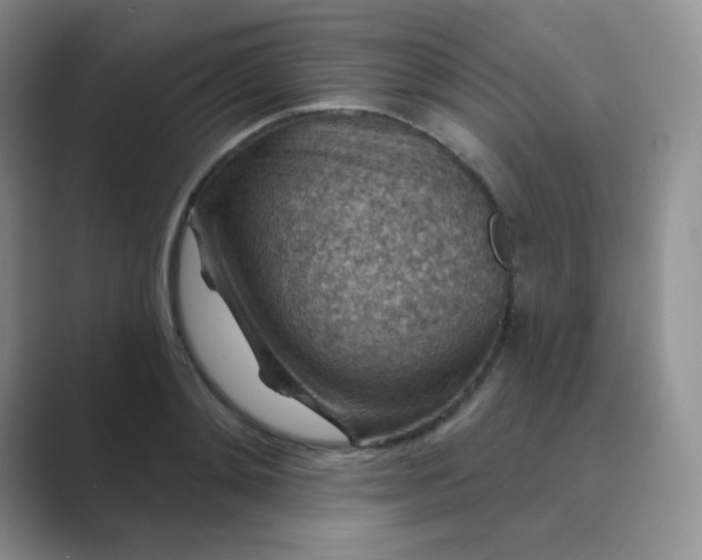 X0000089700892200707051641