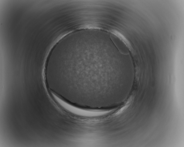 X0000089700893200707051641