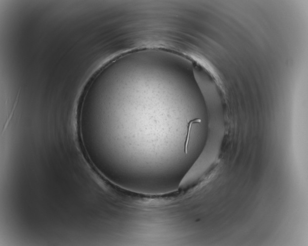 X0000089700894200707051641