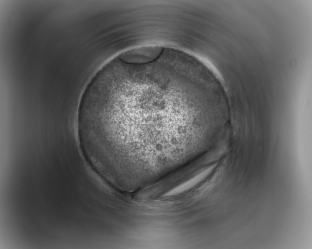 X0000089700895200707051641