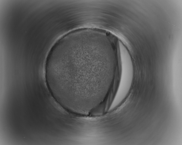 X0000089700896200707051641