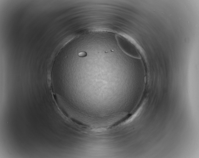 X0000089700897200707051641