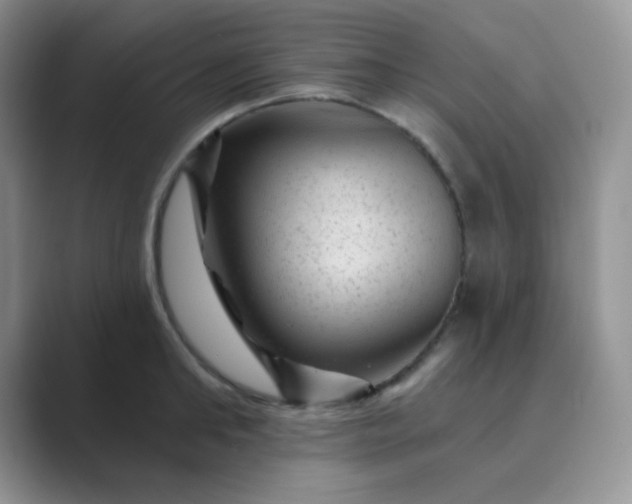 X0000089700902200707051641