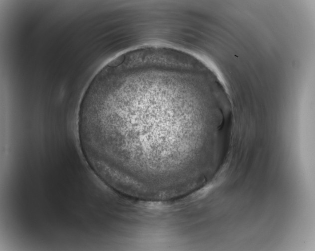 X0000089700903200707051641