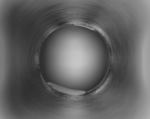 X0000089700905200707051641