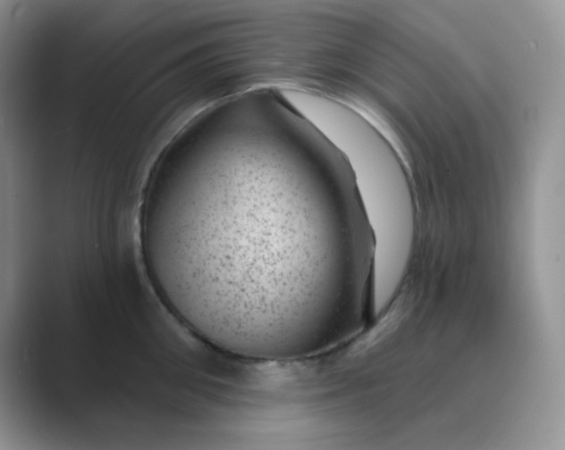 X0000089700906200707051641