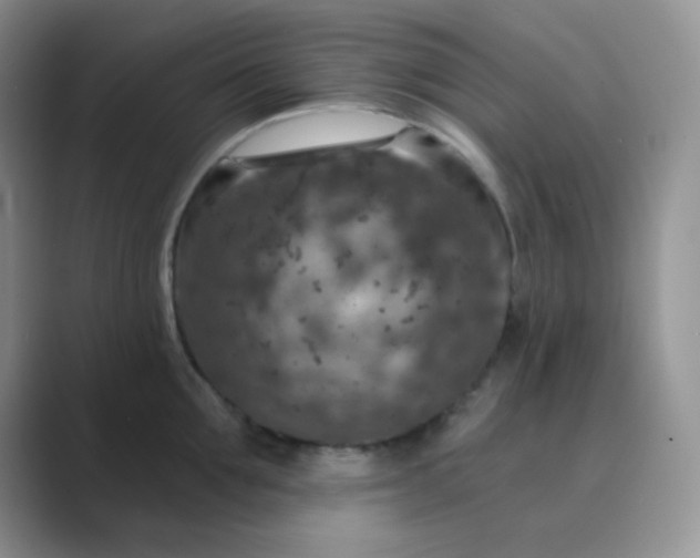 X0000089700907200707051641