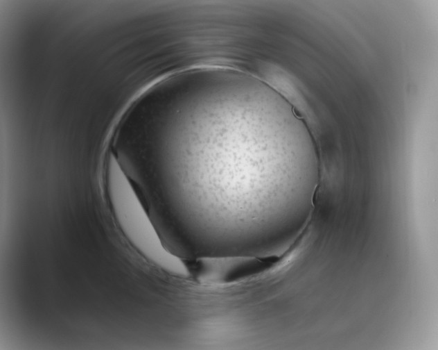 X0000089700908200707051641