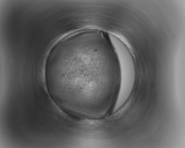 X0000089700910200707051641