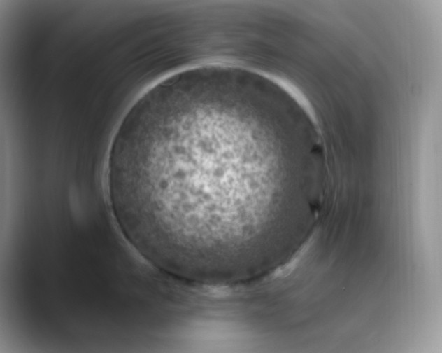 X0000089700911200707051641