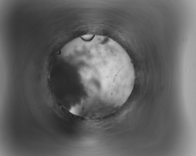 X0000089700913200707051640