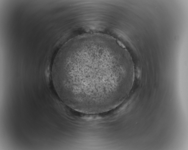 X0000089700915200707051641