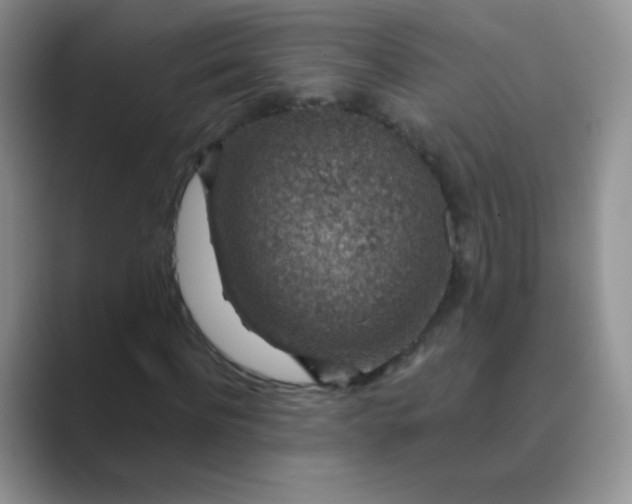 X0000089700916200707051641