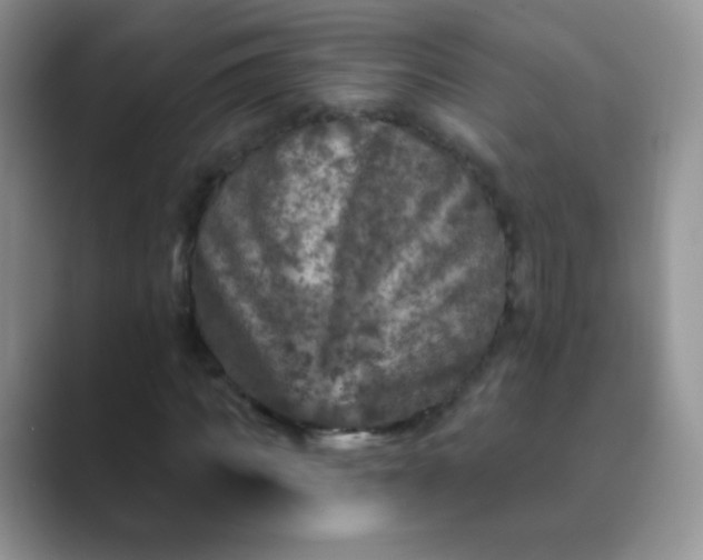 X0000089700917200707051641