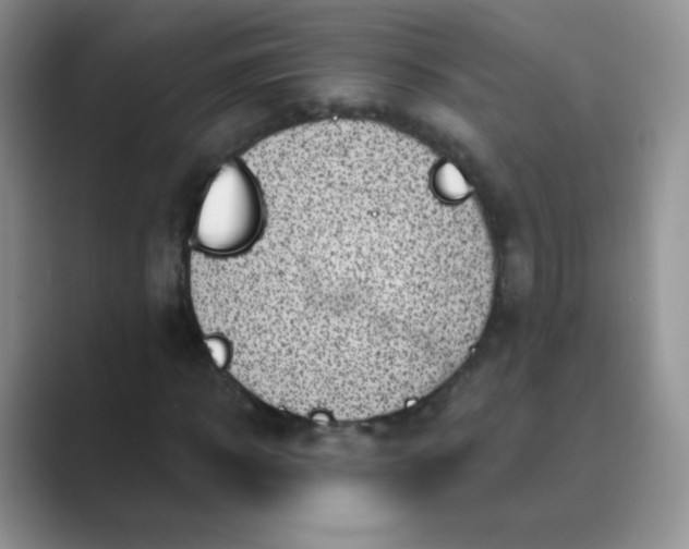 X0000089700918200707051641