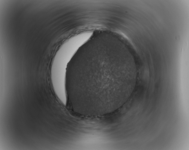 X0000089700919200707051641