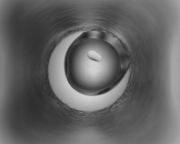 X0000089700920200707051641