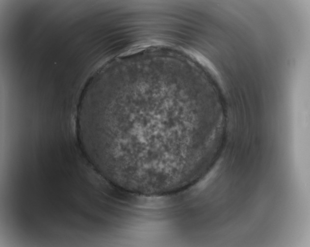 X0000089700921200707051641