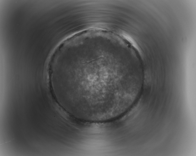 X0000089700923200707051641