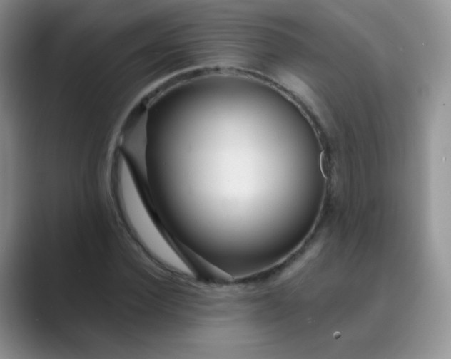 X0000089700924200707051641