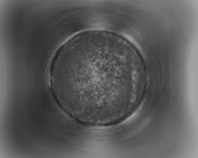 X0000089700925200707051641