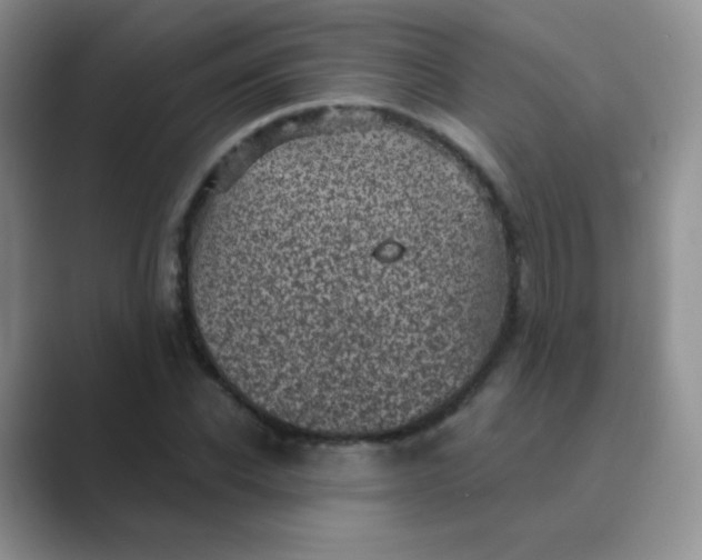 X0000089700926200707051641