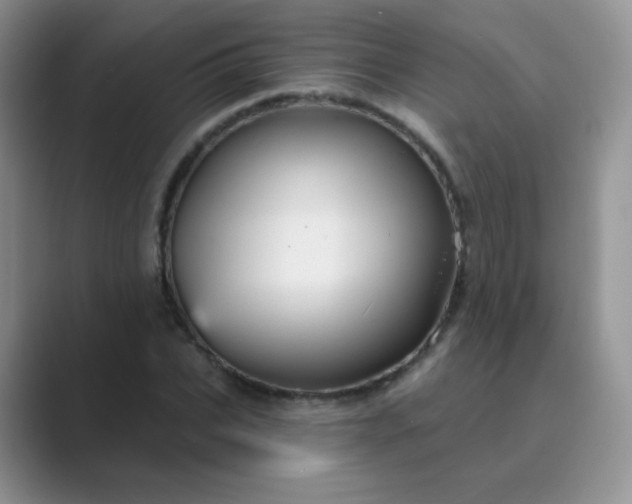 X0000089700927200707051641