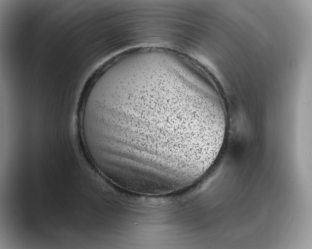 X0000089700928200707051641