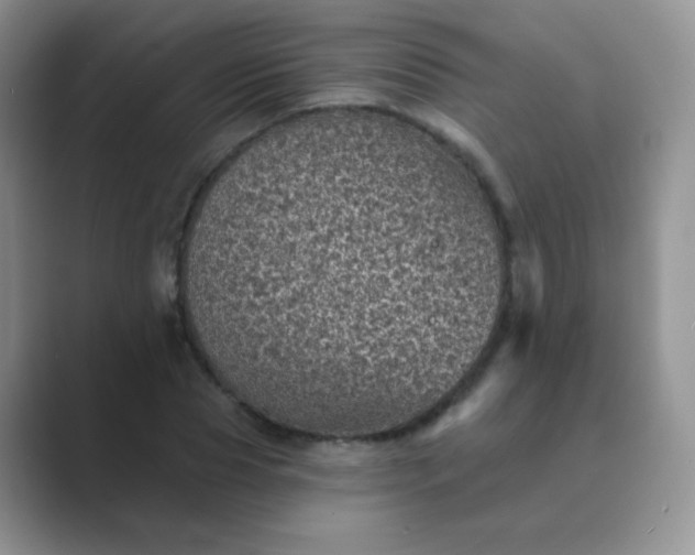 X0000089700929200707051641