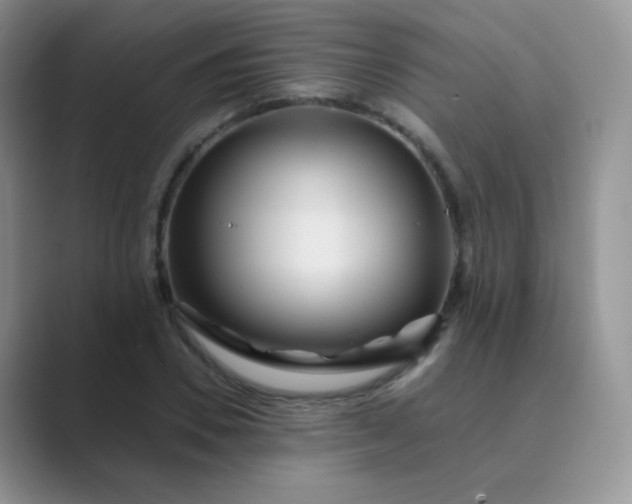 X0000089700930200707051641