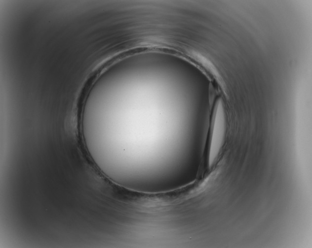 X0000089700931200707051641