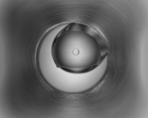 X0000089700932200707051641