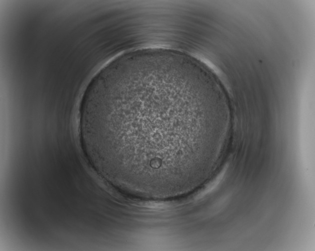 X0000089700933200707051641