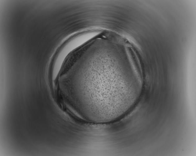 X0000089700934200707051641